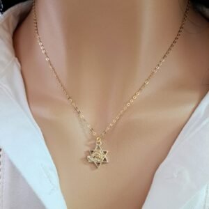 שרשרת מגן דוד בשילוב שושנה ועלה