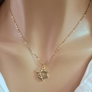 שרשרת מגן דוד עם ענף של זית